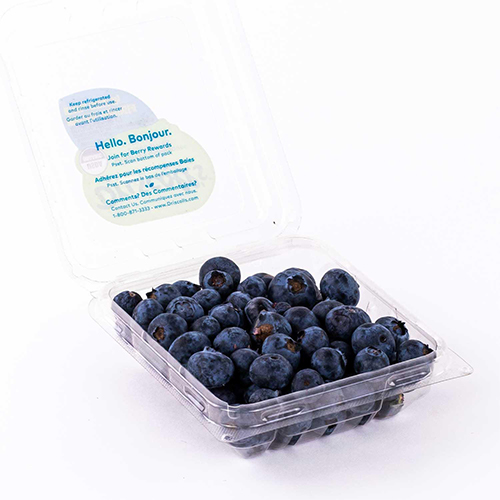 http://atiyasfreshfarm.com/public/storage/photos/1/New Products 2/Organic Blueberry Box (170g).jpg